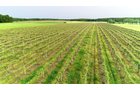 Van Buren County, Michigan farmland - LAND AUCTION - 194+/- ACRES OFFERED IN 5 TRACTS IN VAN BUREN COUNTY, MICHIGAN